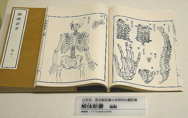 해체신서(解體新書)는 일본 최초 번역 의학서로 네덜란드어판인 
