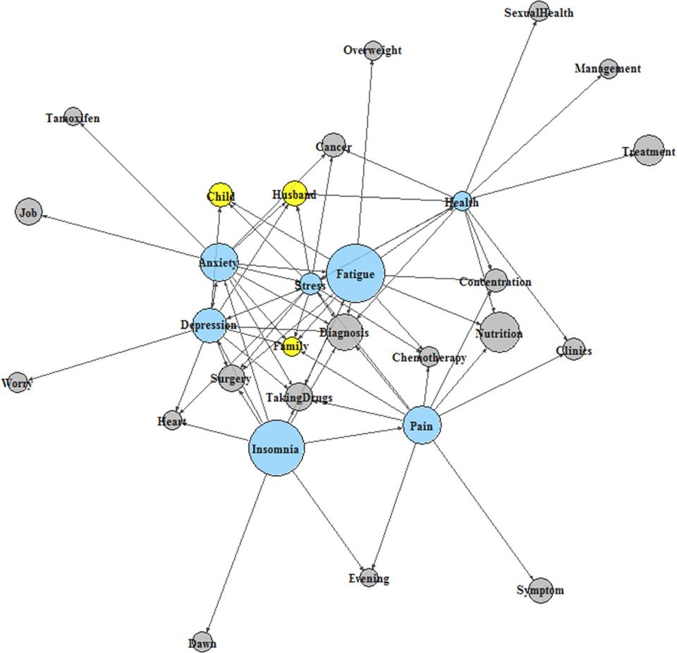 개별 인터뷰의 텍스트 분석을 통한 키워드(파란색 원)와 관련 단어(회색 및 노란색 원-특별히 노란색 원은 가족 관련 단어)간의 네트워크 맵(network map). 원의 크기는 인터뷰에서 각각의 단어가 언급된 빈도수를 의미하며, 두 원 사이의 길이 및 가중치는 단어 간의 상대적 상관관계를 뜻한다. 단어 사이에 연결된 선의 수가 많을수록 네트워크 맵의 중심에 위치하고, 이는 중요도를 의미한다.