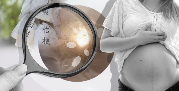 2017∼2019년 3년 동안 지자체에서 진행한 한방난임사업을 분석한 결과, 임신 성공률은 12.7%로 자연임신율(24.6~28.7%)에도 미치지 못한 것으로 드러났다. 한방 난임치료를 위해 처방한 한약 중에는 임신 중 복용 금기 한약제가 포함돼 있는 것으로 밝혀졌다. ⓒ의협신문