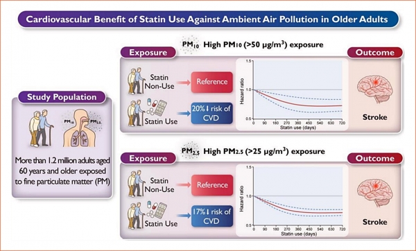 [그래픽] WHO 기준 높은 수준의 미세먼지 PM10(직경 50μg/m3 이하)와 PM2.5(직경 25μg/m3 이하)에 노출된 경우, 스타틴 처방 그룹은 비처방 그룹에 비해 뇌졸중 발생 위험이 각각 20%, 17% 낮았다(출처: European Journal of Preventive Cardiology). ⓒ의협신문