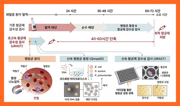 초고속 항균제 감수성 검사(uRAST) 진행 순서. ⓒ의협신문