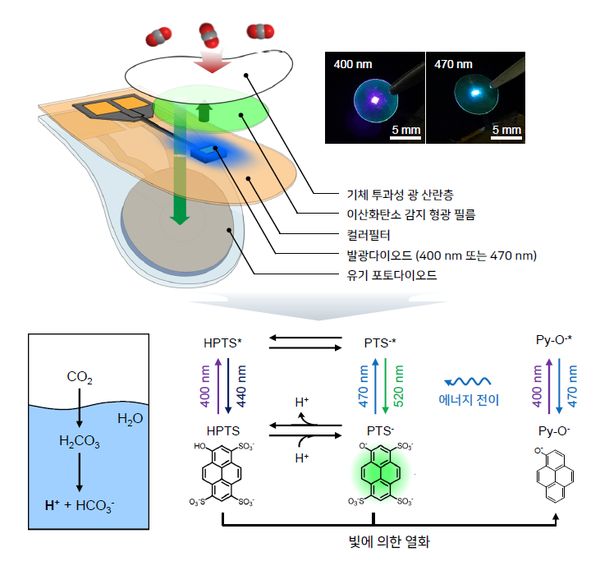 ■ 광화학적 이산화탄소 센서의 구조와 작동원리.