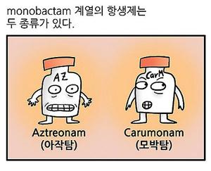 Monobactam계열의 항생제(39화)