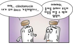 Clindamycin의 작용기전 (제56화)