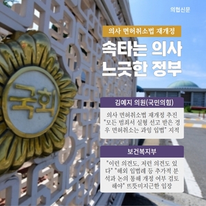 의사면허취소법 재개정 추진...속타는 의사 느긋한 정부